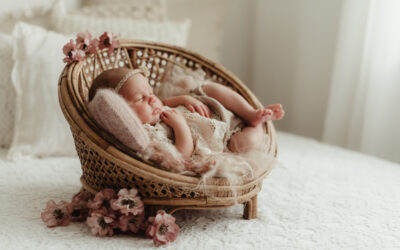 Mein Newborn-Workshop
