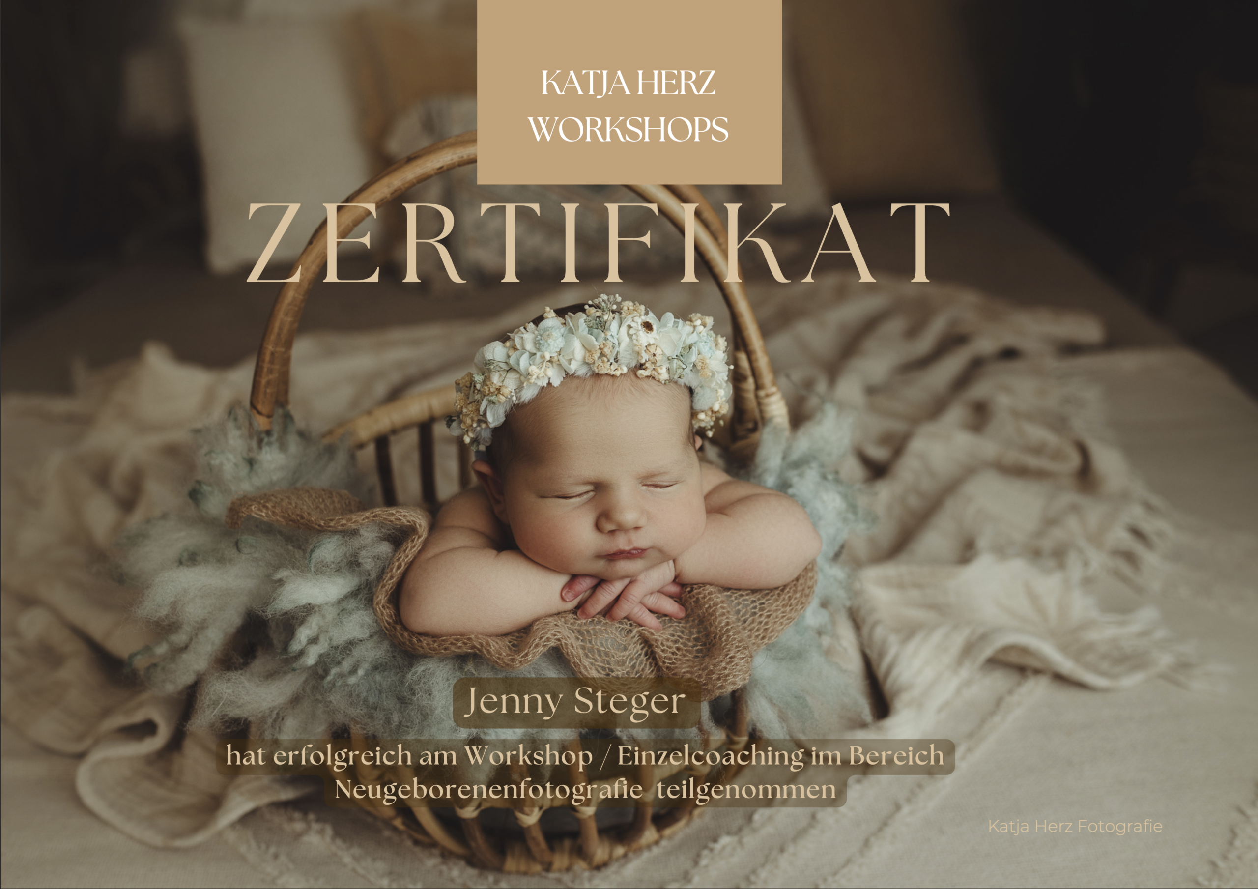 Zertifikat Newborn Workshop Katja Herz